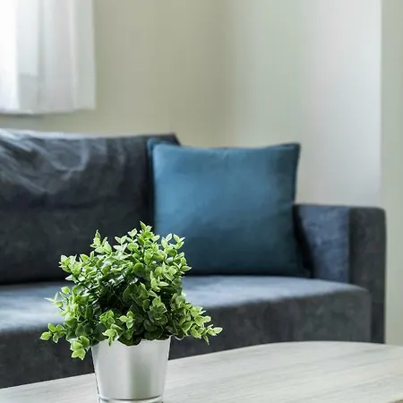 V Luxury * 希维利